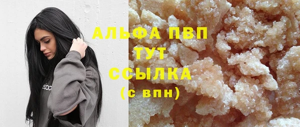 индика Абинск