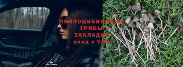 дурь Алексеевка