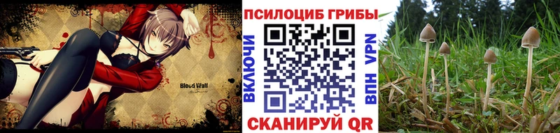 сайты даркнета Telegram  МЕГА ссылки  Калач  купить  сайты  Галлюциногенные грибы ЛСД 